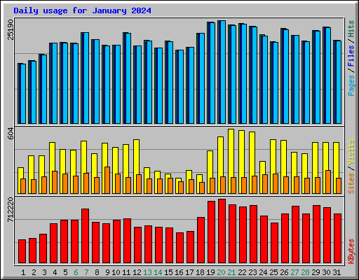 Daily usage for January 2024