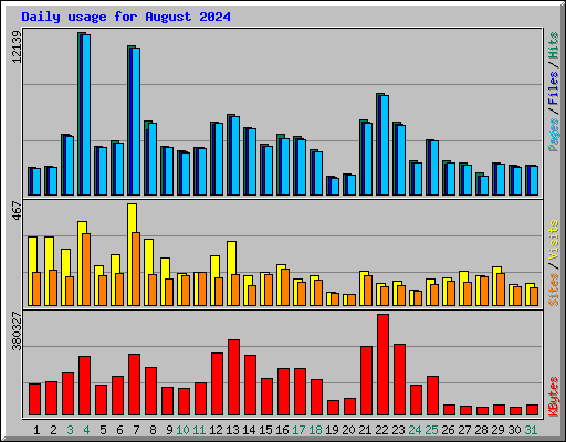 Daily usage for August 2024