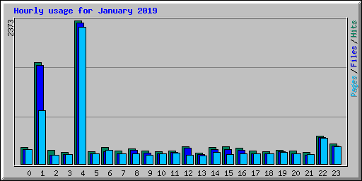 Hourly usage for January 2019