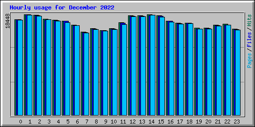 Hourly usage for December 2022