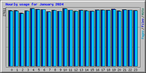 Hourly usage for January 2024