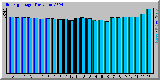 Hourly usage for June 2024