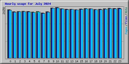 Hourly usage for July 2024