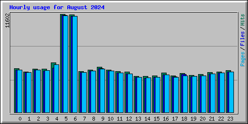 Hourly usage for August 2024