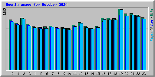 Hourly usage for October 2024