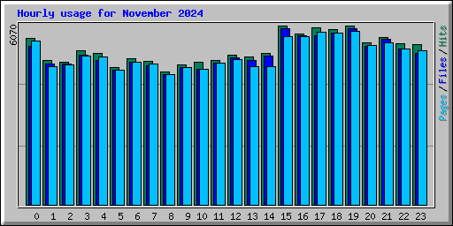 Hourly usage for November 2024