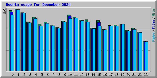 Hourly usage for December 2024